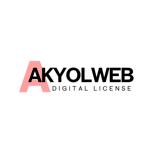 Akyolweb